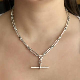 Edwardian Silver Trombone Link Albert on the neck
