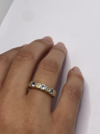 53EAD816-D983-43EC-8B7A-F693654CE93D_1_201_a