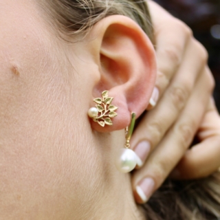 D89586D1-A98D-40C4-BF26-C3963C1CC163_1_105_c