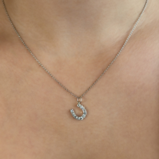 Edwardian Diamond Horseshoe Pendant on neck